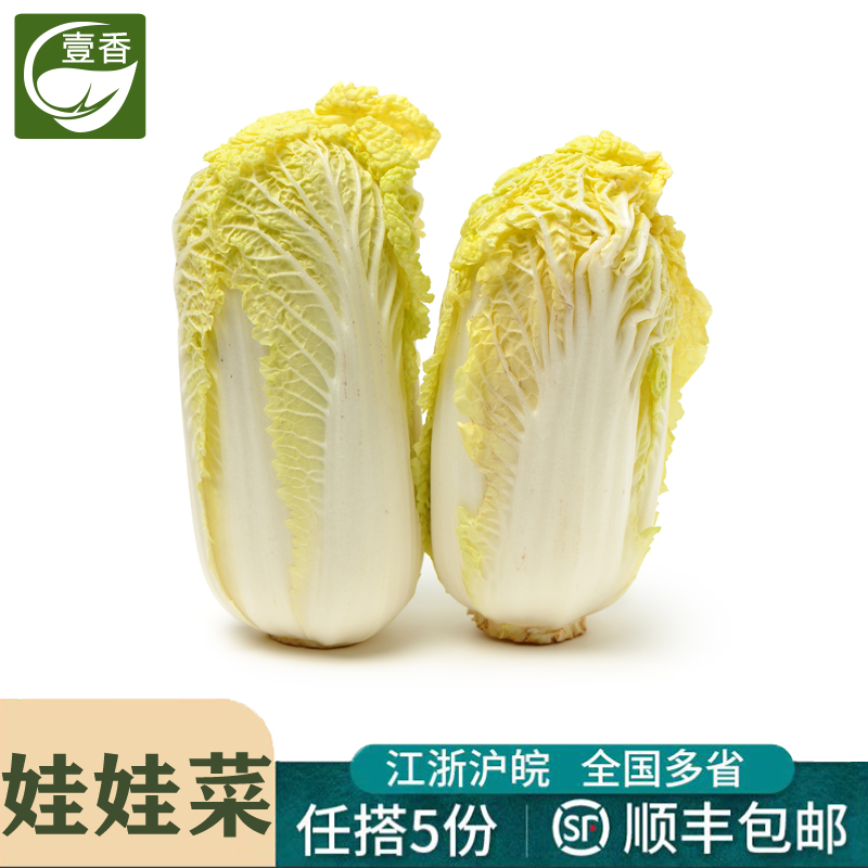 娃娃菜新鲜蔬菜烧烤火锅食材