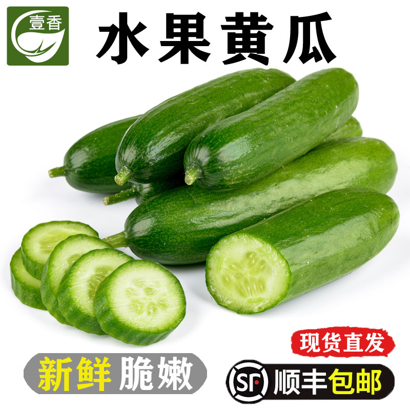 【壹香】水果黄瓜2-5斤 新鲜小黄瓜无刺小青瓜生吃沙拉蔬菜食材