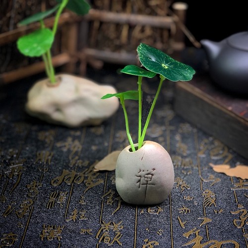 古风摄影茶叶拍道具摆件