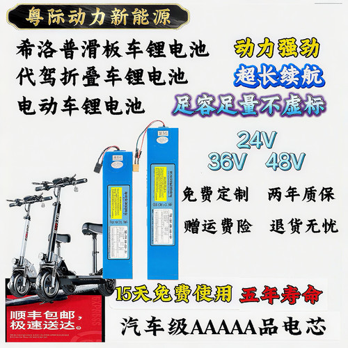 电动滑板车36v48v15.6ah锂电池阿尔郎希洛普折叠代驾自行车电瓶