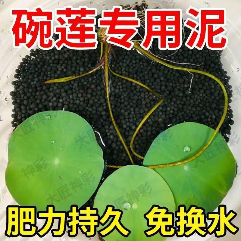 荷塘泥水草泥不浑水碗莲泥陶粒