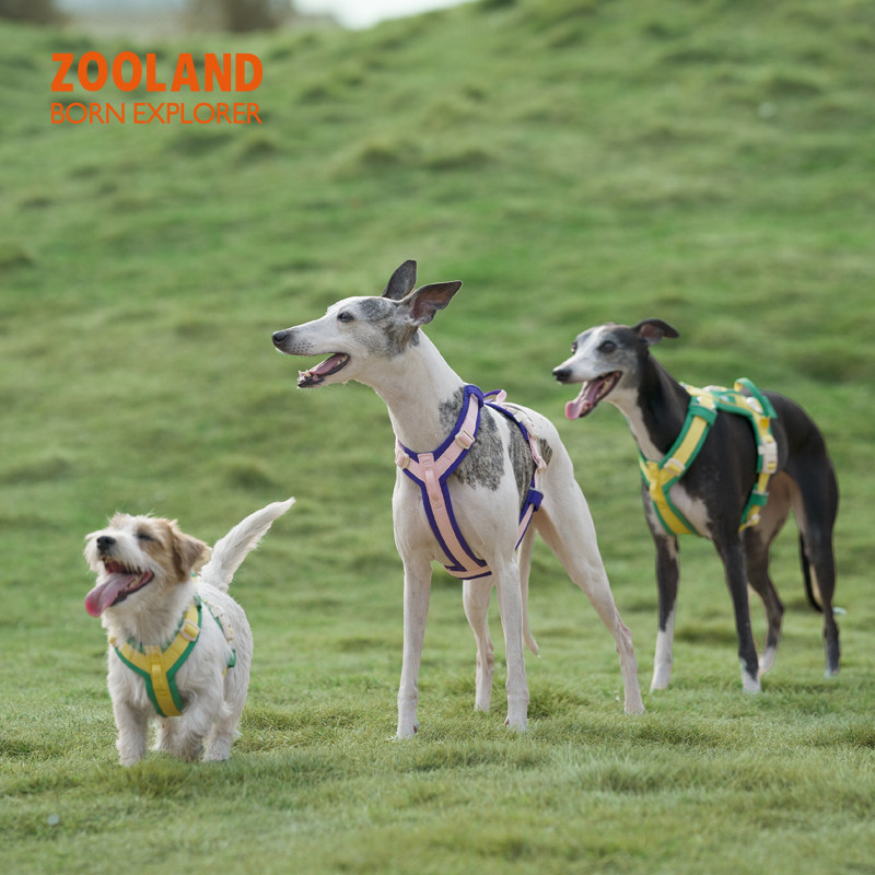 ZOOLAND宠物狗狗牵引绳工字型胸背带防爆冲小中大型犬遛狗绳子图片