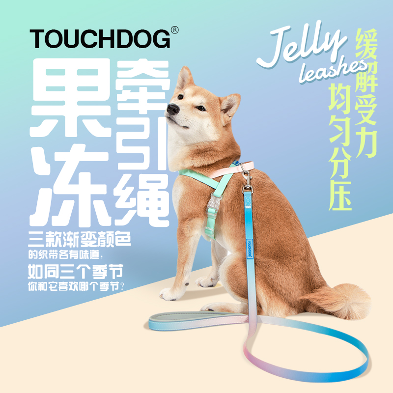 touchdog宠物渐变胸背套装牵引绳