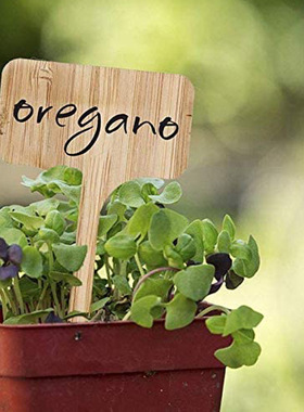 t型园艺花卉植物标签牌竹质插地牌多肉记号牌可手写双面盆栽插牌