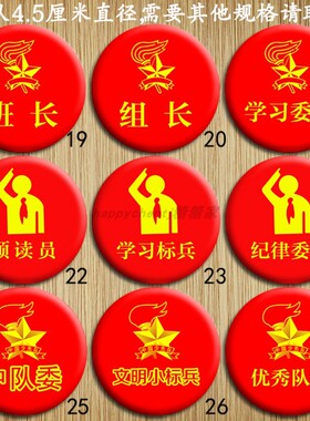 幼儿园小学班长组长纪律学习委员中队委领读员文明小标兵徽章胸针