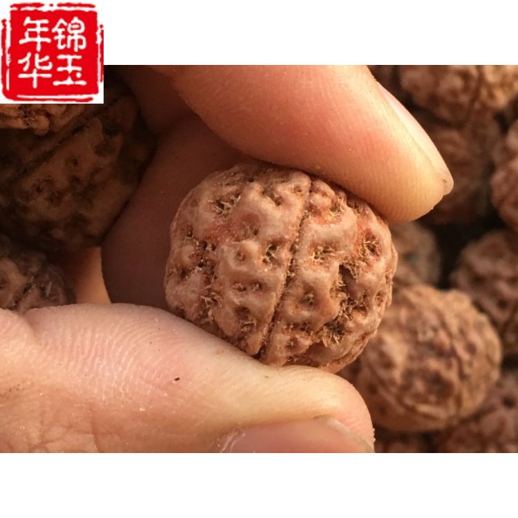 网友分享在meiguo.com的图片