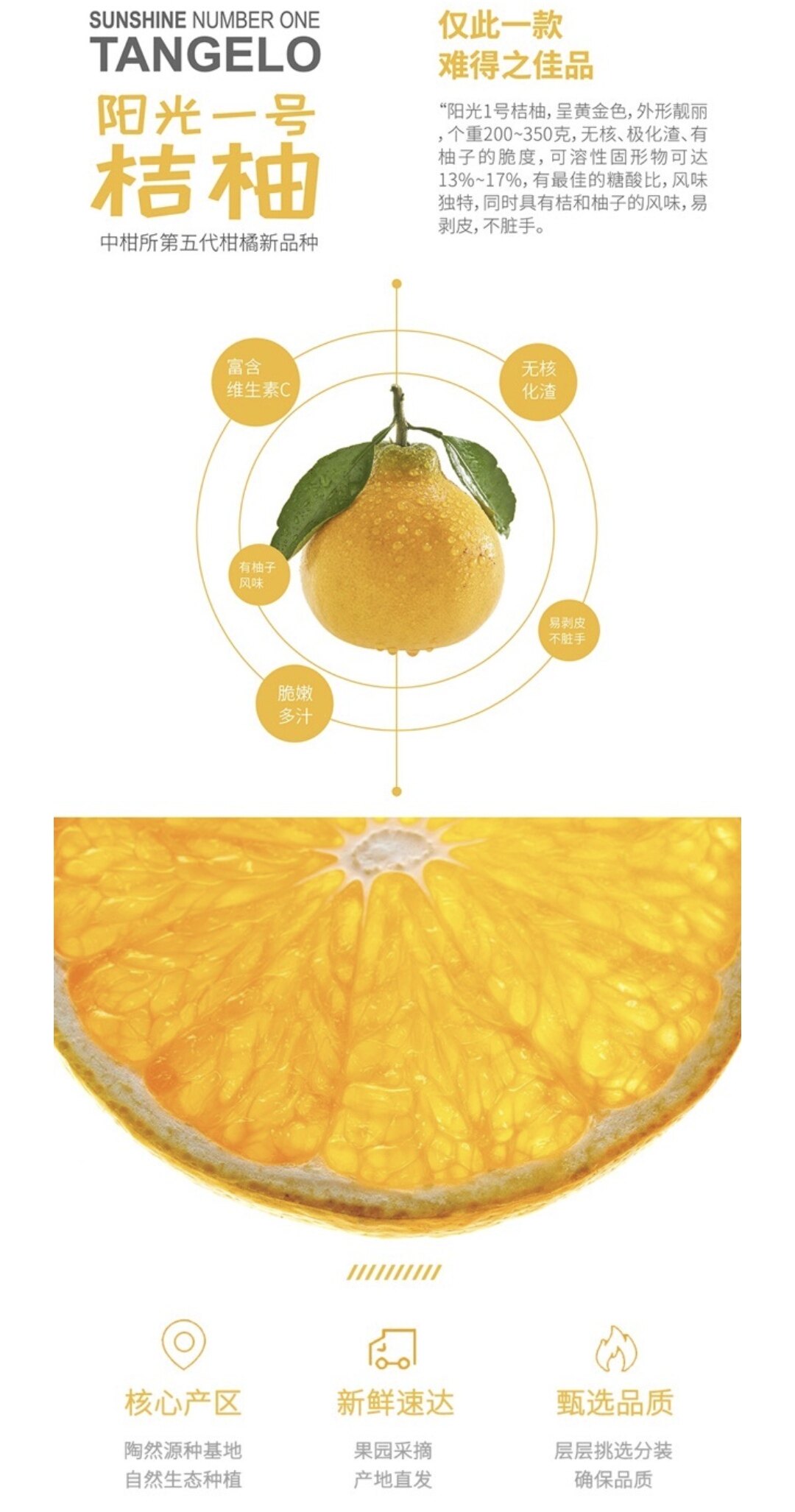 农村生态新品种柑橘阳光一号桔柚新鲜发货应季节甜水果四川土特产