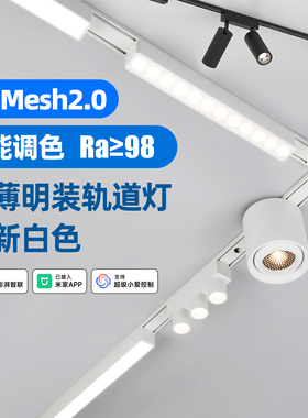 已接入米家APP智能轨道灯明装超薄磁吸灯家用客厅新款白色无主灯