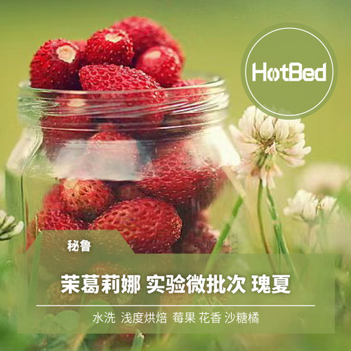 【温床咖啡】秘鲁 茉葛莉娜 实验微批次 水洗 瑰夏