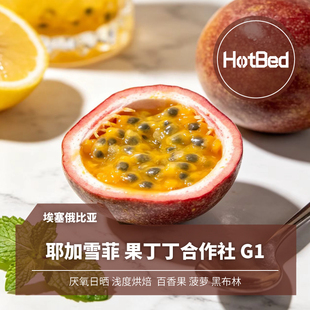 【温床咖啡】埃塞 耶加雪菲 果丁丁合作社 厌氧日晒 G1