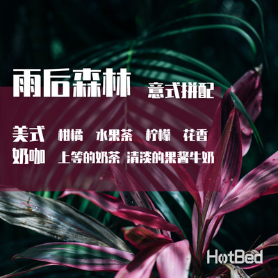 【温床咖啡意式中烘拼配】雨后森林  清甜干净 花香小清新