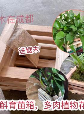 杉木吸水透气石斛育苗箱
