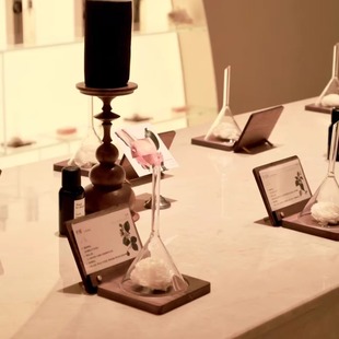 美容院头疗展台品香器植物香薰精油套装 闻香礼品香器扩香闻香器