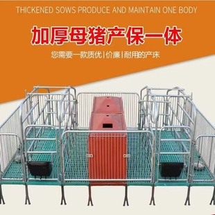 母猪用产保单体分娩床保育床一体两用复合板定位限位栏养殖设备