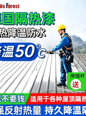 德国隔热漆屋顶楼顶降温铁皮油漆水泥墙面防水彩钢瓦专用防晒涂料