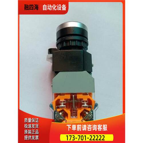 正泰自锁带灯按钮LAY39B-11BNZSD【议价】