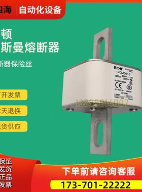 快速熔断器保险170M6644 170M6645 170M6646 170M6647【议价】