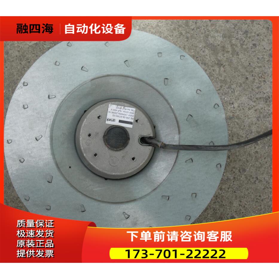 工业风机RE 250-2b-97063.02 【议价】