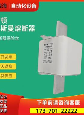 快速熔断器保险170M6870 170M6878 170M6879 170M6880【议价】