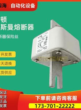 快速熔断器保险170M6094 170M6103 170M6108 170M6109【议价】