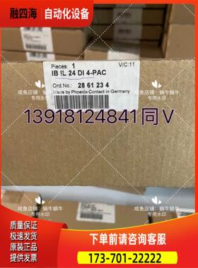 2861234 IB IL 24 DI 4-PAC【议价】