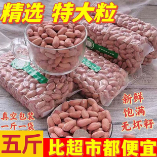2025年新鲜晒干特大粒新花生大颗粒花生米真空装商用长粒生花生仁