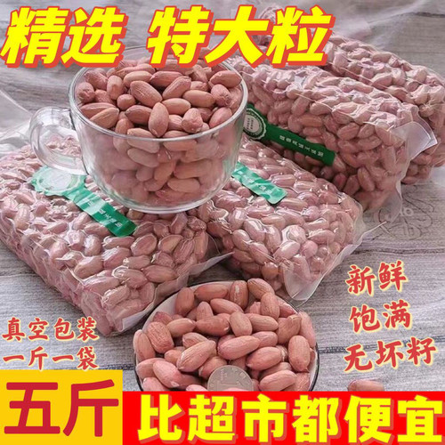 2025年新鲜晒干特大粒新花生大颗粒花生米真空装商用长粒生花生仁