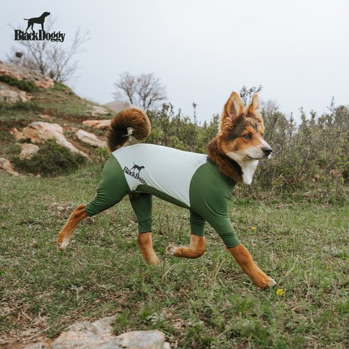 BlackDoggy宠物户外四脚凉感防晒防护服狗狗户外防沙防虫防脏四脚