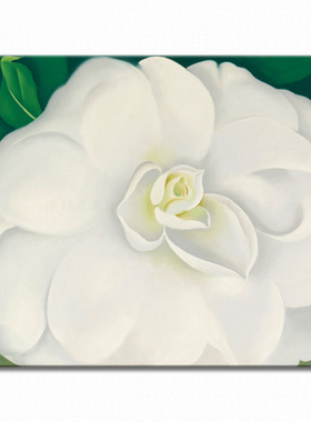 白色欧姬芙艺术风书房酒吧装饰画