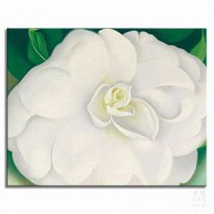 白色山茶花 Georgia O'Keeffe 欧姬芙艺术装饰画客厅书房玄关酒吧