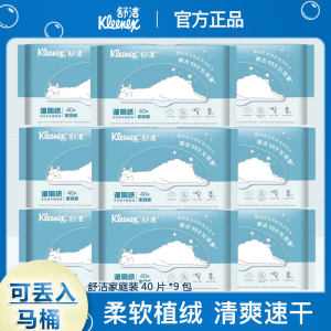 舒洁去菌湿巾厕纸40片包房私处