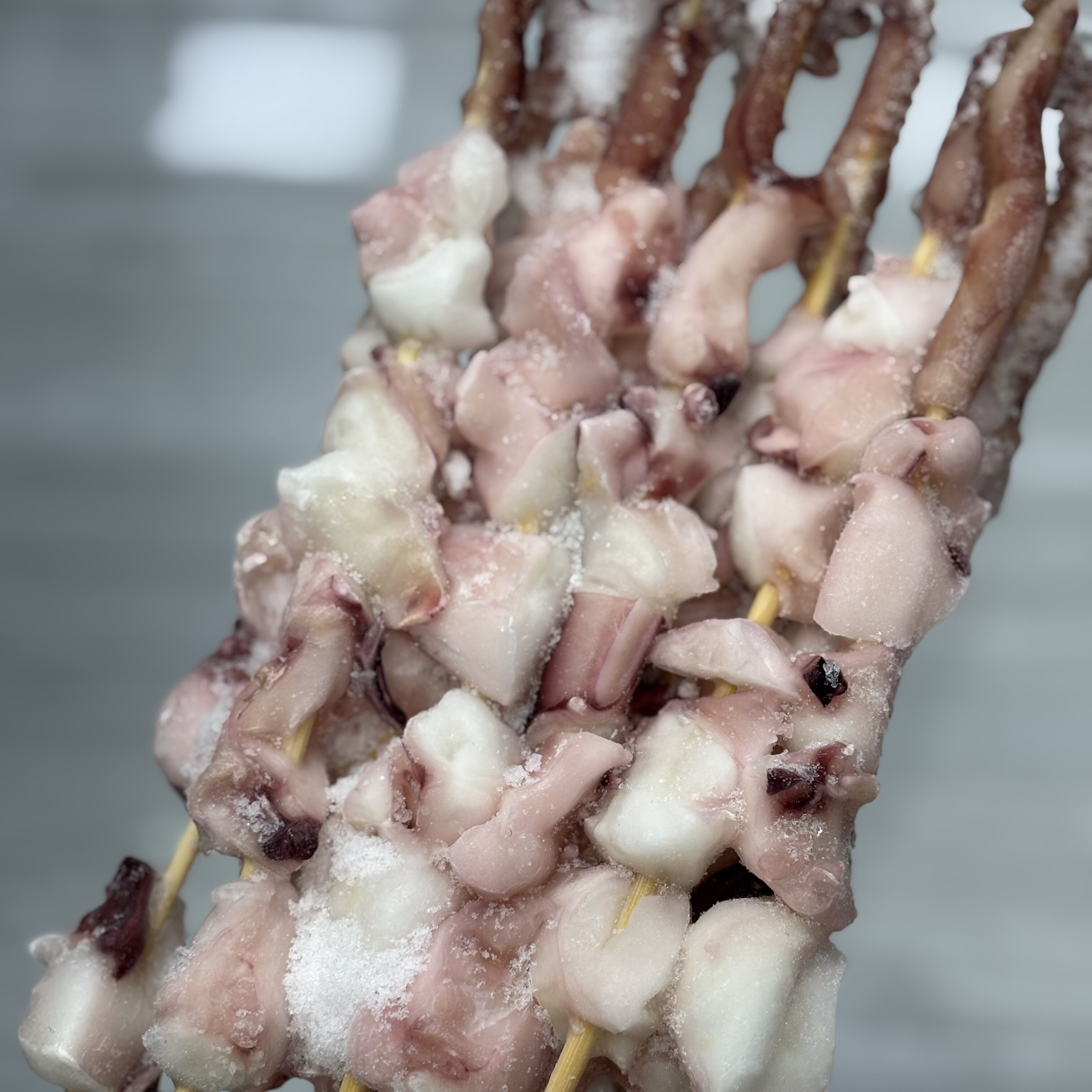八爪脚粒鱿鱼粒串铁板八爪脚串烧烤油炸小吃半成品食材20串八爪脚