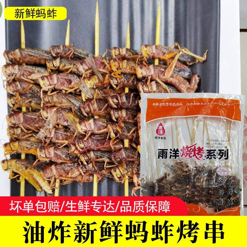 大蚂蚱串 蝗虫串 冷冻蚱蜢串烧烤油炸食材 200串每箱苏浙沪皖包邮