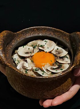山野风粗陶双耳砂锅带盖煲仔云贵川牛肝菌炒饭餐具特色陶瓷菜盘子