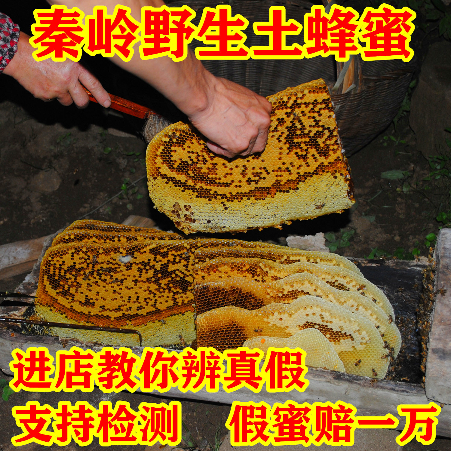 秦岭野生土蜂蜜纯正天然农家自产木桶成熟结晶原蜜正品真百花蜂蜜