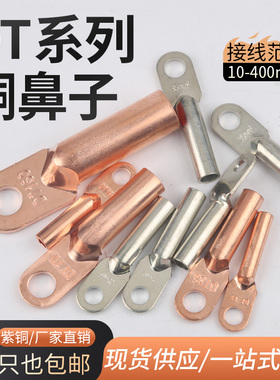 DT铜鼻子接线端子电缆线耳国标镀锡堵油铜接头10/16/35/50/70平方
