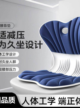 德国护腰坐垫靠背一体办公室人体工学坐姿椅久坐不累矫姿护腰神器