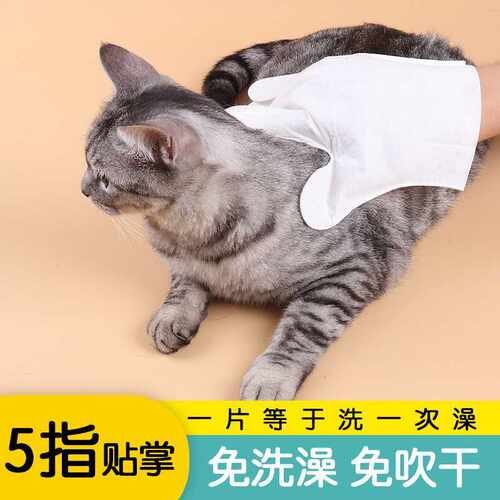 宠物用品亚马逊新款宠物免洗手套 猫咪清洁手套 干洗湿巾清洁用品