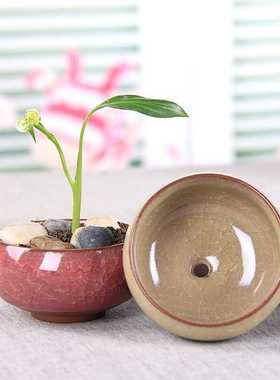 多肉花盆花器 冰裂陶瓷韩式多肉桌面小花盆陶瓷工艺品底有孔