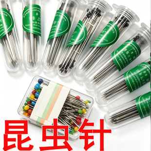 昆虫针（蝴蝶展翅用）甲虫定位针儿童昆虫针DIY固定翅膀
