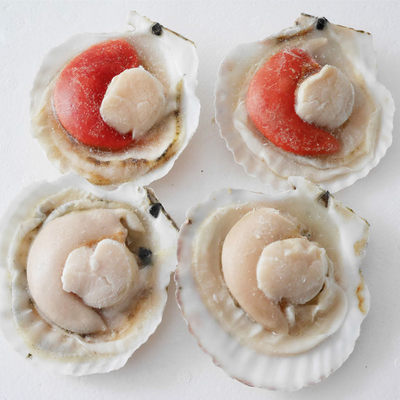 春季新货大连海鲜特产半壳贝带卵虾夷扇贝一斤四个无冰衣就是肥美