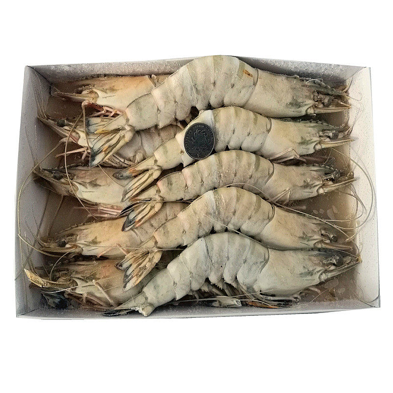 餐厅好货黑虎虾10尾  草虾斑节对虾礼品佳品