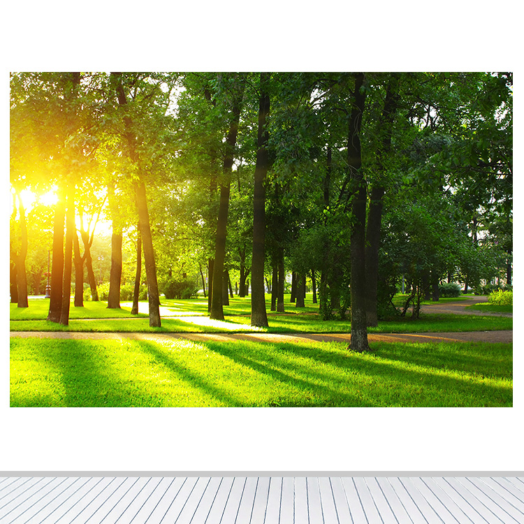 树林树木公园阳光草地装饰画绿色壁画书房卧室墙贴画自粘海报