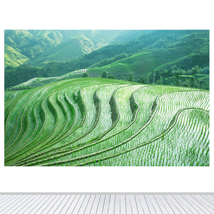 田园风光龙脊梯田稻田水稻客厅装饰画墙贴壁挂画自粘定制