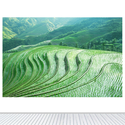 田园风光龙脊梯田稻田水稻客厅装饰画墙贴壁挂画自粘定制