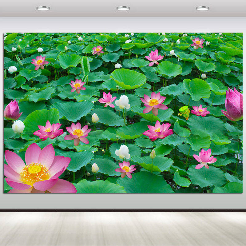 莲花荷花海报定做荷叶绿色植物图现代装饰画