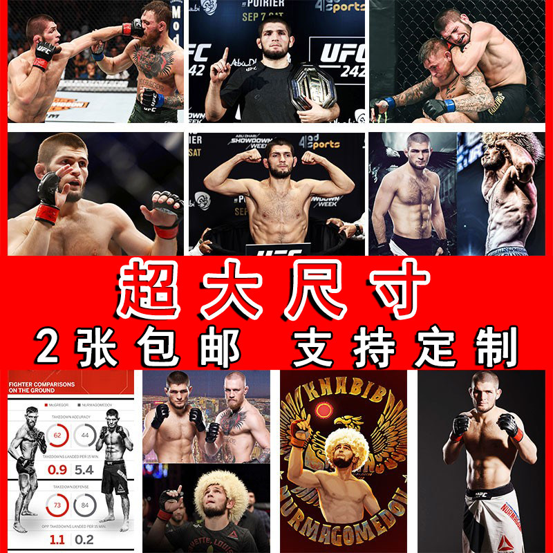 小鹰哈比布格斗拳击搏击健身房