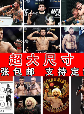 小鹰哈比布格斗拳击搏击健身房