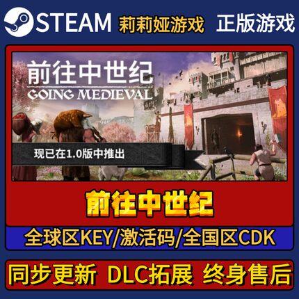 前往中世纪 Steam正版游戏激活码CDKEY入库 Pc简中全DLC激活