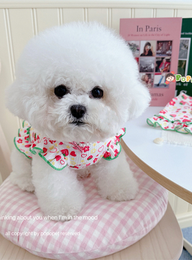 宠物衣服草莓华夫格可牵引背心春夏薄款飞袖短裙猫咪狗狗比熊泰迪